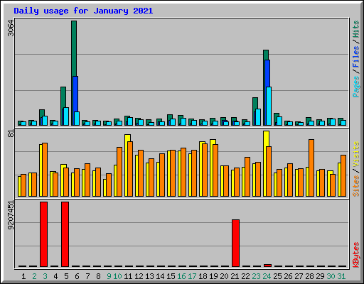 Daily usage for January 2021