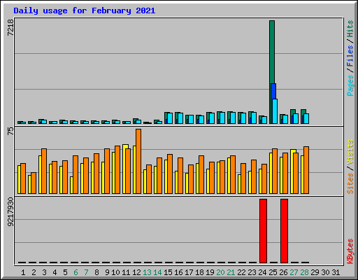 Daily usage for February 2021