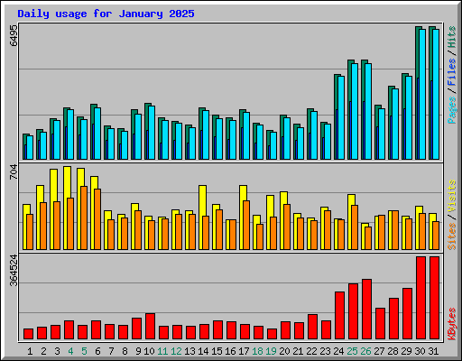 Daily usage for January 2025