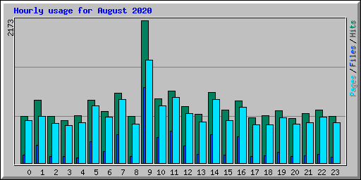 Hourly usage for August 2020