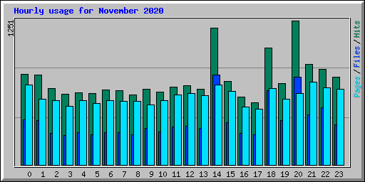 Hourly usage for November 2020