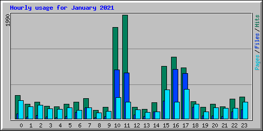 Hourly usage for January 2021