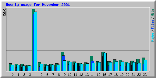 Hourly usage for November 2021