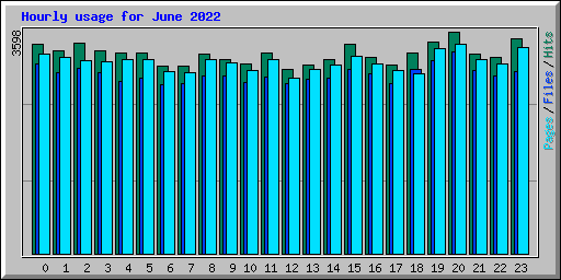 Hourly usage for June 2022