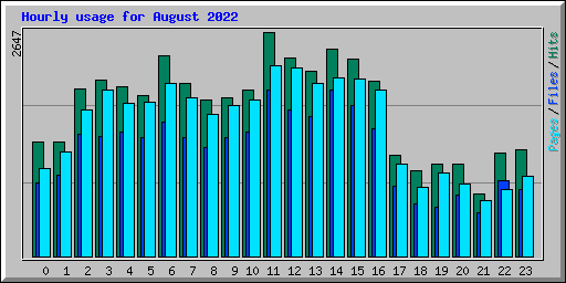 Hourly usage for August 2022