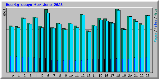 Hourly usage for June 2023