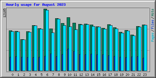 Hourly usage for August 2023