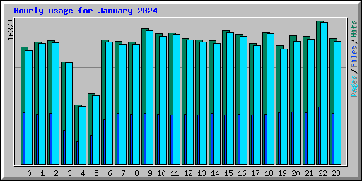 Hourly usage for January 2024