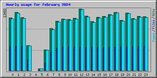 Hourly usage for February 2024