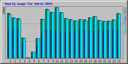 Hourly usage for March 2024
