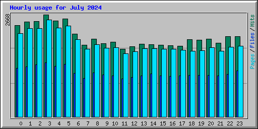 Hourly usage for July 2024