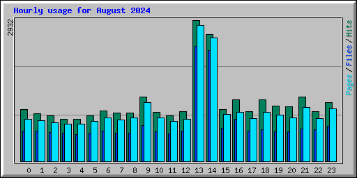 Hourly usage for August 2024