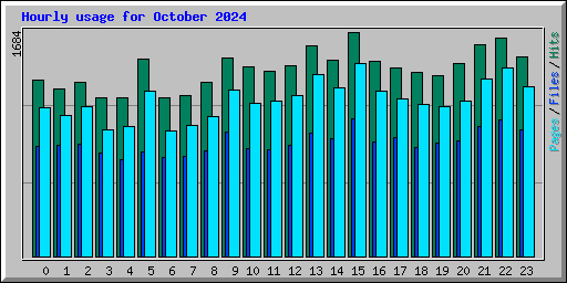 Hourly usage for October 2024
