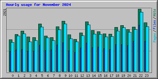 Hourly usage for November 2024