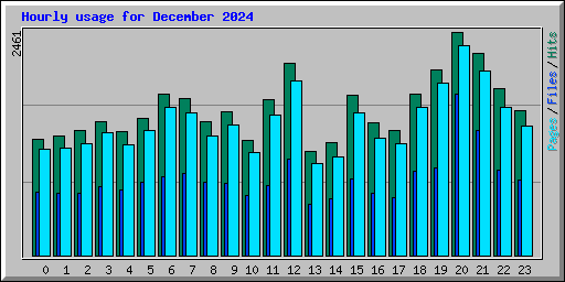 Hourly usage for December 2024