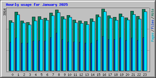 Hourly usage for January 2025
