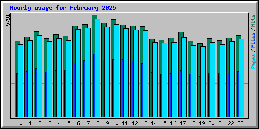 Hourly usage for February 2025