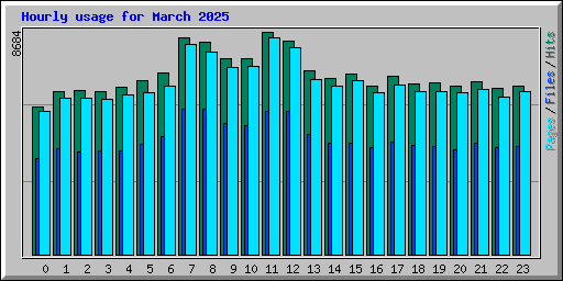 Hourly usage for March 2025