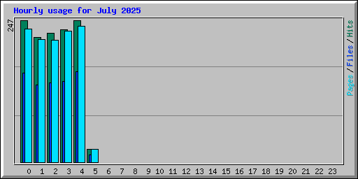 Hourly usage for July 2025