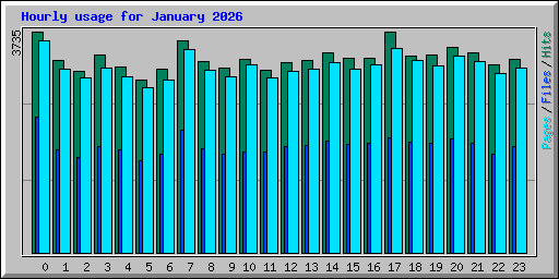 Hourly usage for January 2026
