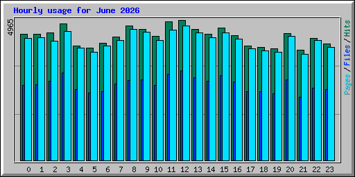 Hourly usage for June 2026