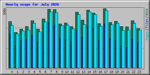 Hourly usage for July 2026